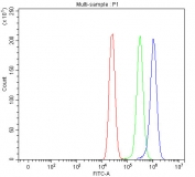 Flow cytometry testing of fixed and permeabilized human MCF7 cells with Pyruvate Carboxylase antibody at 1ug/million cells (blocked with goat sera); Red=cells alone, Green=isotype control, Blue= Pyruvate Carboxylase antibody.