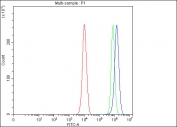 Flow cytometry testing of fixed and permeabilized human PC-3 cells with PAICS antibody at 1ug/million cells (blocked with goat sera); Red=cells alone, Green=isotype control, Blue= PAICS antibody.