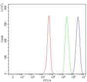 Flow cytometry testing of fixed and permeabilized human JK cells with 4-Alpha-glucanotransferase antibody at 1ug/million cells (blocked with goat sera); Red=cells alone, Green=isotype control, Blue= 4-Alpha-glucanotransferase antibody.
