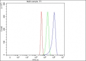 Flow cytometry testing of fixed and permeabilized mouse RAW264.7 cells with Lymphotoxin beta antibody at 1ug/million cells (blocked with goat sera); Red=cells alone, Green=isotype control, Blue= Lymphotoxin beta antibody.