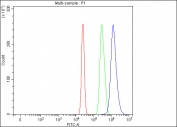 Flow cytometry testing of fixed and permeabilized human HepG2 cells with Matrin 3 antibody at 1ug/million cells (blocked with goat sera); Red=cells alone, Green=isotype control, Blue= Matrin 3 antibody.