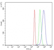 Flow cytometry testing of fixed and permeabilized human HepG2 cells with Lysozyme C antibody at 1ug/million cells (blocked with goat sera); Red=cells alone, Green=isotype control, Blue= Lysozyme C antibody.