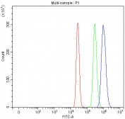 Flow cytometry testing of fixed and permeabilized human HepG2 cells with Amyloid-like protein 2 antibody at 1ug/million cells (blocked with goat sera); Red=cells alone, Green=isotype control, Blue= Amyloid-like protein 2 antibody.