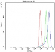 Flow cytometry testing of fixed and permeabilized human HeLa cells with RPL18 antibody at 1ug/million cells (blocked with goat sera); Red=cells alone, Green=isotype control, Blue= RPL18 antibody.