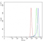 Flow cytometry testing of fixed and permeabilized human HeLa cells with Pyruvate dehydrogenase kinase 4 antibody at 1ug/million cells (blocked with goat sera); Red=cells alone, Green=isotype control, Blue= Pyruvate dehydrogenase kinase 4 antibody.