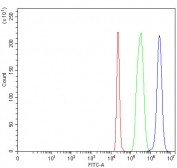 Flow cytometry testing of fixed and permeabilized human 293T cells with LONRF2 antibody at 1ug/million cells (blocked with goat sera); Red=cells alone, Green=isotype control, Blue= LONRF2 antibody.