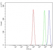 Flow cytometry testing of fixed and permeabilized human PC-3 cells with LRRC75B antibody at 1ug/million cells (blocked with goat sera); Red=cells alone, Green=isotype control, Blue= LRRC75B antibody.