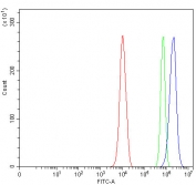 Flow cytometry testing of fixed and permeabilized human PC-3 cells with MAP1S antibody at 1ug/million cells (blocked with goat sera); Red=cells alone, Green=isotype control, Blue= MAP1S antibody.