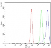 Flow cytometry testing of fixed and permeabilized human K562 cells with LAIR1 antibody at 1ug/million cells (blocked with goat sera); Red=cells alone, Green=isotype control, Blue= LAIR1 antibody.