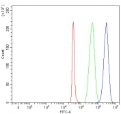 Flow cytometry testing of fixed and permeabilized human SH-SY5Y cells with LRRN1 antibody at 1ug/million cells (blocked with goat sera); Red=cells alone, Green=isotype control, Blue= LRRN1 antibody.