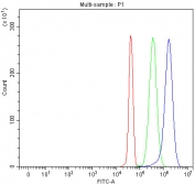 Flow cytometry testing of fixed and permeabilized human JK cells with LPCAT2 antibody at 1ug/million cells (blocked with goat sera); Red=cells alone, Green=isotype control, Blue= LPCAT2 antibody.