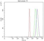 Flow cytometry testing of fixed and permeabilized human HepG2 cells with Pellino-3 antibody at 1ug/million cells (blocked with goat sera); Red=cells alone, Green=isotype control, Blue= Pellino-3 antibody.