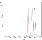 Flow cytometry testing of fixed and permeabilized human JK cells with SLC38A9 antibody at 1ug/million cells (blocked with goat sera); Red=cells alone, Green=isotype control, Blue= SLC38A9 antibody.
