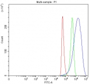 Flow cytometry testing of fixed and permeabilized human HeLa cells with MOSPD2 antibody at 1ug/million cells (blocked with goat sera); Red=cells alone, Green=isotype control, Blue= MOSPD2 antibody.
