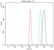 Flow cytometry testing of fixed and permeabilized human HEL cells with Josephin 2 antibody at 1ug/million cells (blocked with goat sera); Red=cells alone, Green=isotype control, Blue= Josephin 2 antibody.