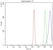 Flow cytometry testing of fixed and permeabilized human ThP-1 cells with INPP5D antibody at 1ug/million cells (blocked with goat sera); Red=cells alone, Green=isotype control, Blue= INPP5D antibody.