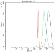 Flow cytometry testing of fixed and permeabilized human JK cells with PAAF1 antibody at 1ug/million cells (blocked with goat sera); Red=cells alone, Green=isotype control, Blue= PAAF1 antibody.