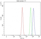 Flow cytometry testing of fixed and permeabilized human RT4 cells with LSG1 antibody at 1ug/million cells (blocked with goat sera); Red=cells alone, Green=isotype control, Blue= LSG1 antibody.