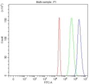 Flow cytometry testing of fixed and permeabilized human HepG2 cells with ILKAP antibody at 1ug/million cells (blocked with goat sera); Red=cells alone, Green=isotype control, Blue= ILKAP antibody.