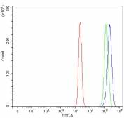 Flow cytometry testing of fixed and permeabilized human ThP1 cells with Pellino 2 antibody at 1ug/million cells (blocked with goat sera); Red=cells alone, Green=isotype control, Blue= Pellino 2 antibody.