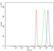 Flow cytometry testing of fixed and permeabilized human ThP-1 cells with LIN7C antibody at 1ug/million cells (blocked with goat sera); Red=cells alone, Green=isotype control, Blue= LIN7C antibody.