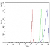 Flow cytometry testing of fixed and permeabilized human U-2 OS cells with Ribosome binding protein 1 antibody at 1ug/million cells (blocked with goat sera); Red=cells alone, Green=isotype control, Blue= Ribosome binding protein 1 antibody.