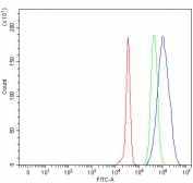 Flow cytometry testing of fixed and permeabilized human JK cells with MAGEL2 antibody at 1ug/million cells (blocked with goat sera); Red=cells alone, Green=isotype control, Blue= MAGEL2 antibody.