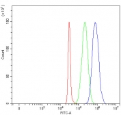 Flow cytometry testing of fixed and permeabilized human SH-SY5Y cells with PADI3 antibody at 1ug/million cells (blocked with goat sera); Red=cells alone, Green=isotype control, Blue= PADI3 antibody.