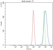 Flow cytometry testing of fixed and permeabilized human PC-3 cells with PCDHA6 antibody at 1ug/million cells (blocked with goat sera); Red=cells alone, Green=isotype control, Blue= PCDHA6 antibody.