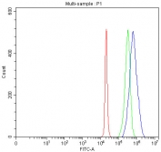Flow cytometry testing of fixed and permeabilized human 293T cells with MAN1 antibody at 1ug/million cells (blocked with goat sera); Red=cells alone, Green=isotype control, Blue= MAN1 antibody.