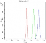 Flow cytometry testing of fixed and permeabilized human HepG2 cells with MAP4K5 antibody at 1ug/million cells (blocked with goat sera); Red=cells alone, Green=isotype control, Blue= MAP4K5 antibody.