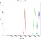 Flow cytometry testing of fixed and permeabilized human K562 cells with ARID domain-containing protein 1A antibody at 1ug/million cells (blocked with goat sera); Red=cells alone, Green=isotype control, Blue= ARID domain-containing protein 1A antibody.