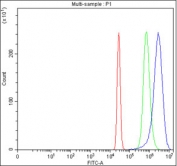 Flow cytometry testing of fixed and permeabilized human HepG2 cells with HADH antibody at 1ug/million cells (blocked with goat sera); Red=cells alone, Green=isotype control, Blue= HADH antibody.