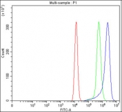 Flow cytometry testing of fixed and permeabilized human HEL cells with ITPRIPL1 antibody at 1ug/million cells (blocked with goat sera); Red=cells alone, Green=isotype control, Blue= ITPRIPL1 antibody.