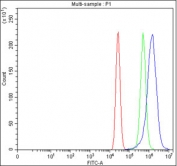 Flow cytometry testing of fixed and permeabilized human MCF7 cells with HAUS7 antibody at 1ug/million cells (blocked with goat sera); Red=cells alone, Green=isotype control, Blue= HAUS7 antibody.