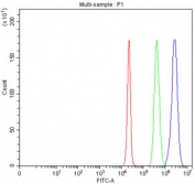 Flow cytometry testing of fixed human HepG2 cells with SLC26A9 antibody at 1ug/million cells (blocked with goat sera); Red=cells alone, Green=isotype control, Blue= SLC26A9 antibody.