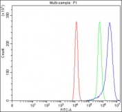 Flow cytometry testing of fixed and permeabilized human HEL cells with SH2D3C antibody at 1ug/million cells (blocked with goat sera); Red=cells alone, Green=isotype control, Blue= SH2D3C antibody.