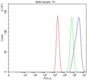 Flow cytometry testing of fixed and permeabilized human Caco-2 cells with PDE12 antibody at 1ug/million cells (blocked with goat sera); Red=cells alone, Green=isotype control, Blue= PDE12 antibody.