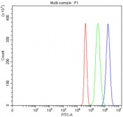 Flow cytometry testing of fixed and permeabilized human JK cells with PI4KB antibody at 1ug/million cells (blocked with goat sera); Red=cells alone, Green=isotype control, Blue= PI4KB antibody.