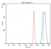 Flow cytometry testing of fixed and permeabilized human A549 cells with SCD1 antibody at 1ug/million cells (blocked with goat sera); Red=cells alone, Green=isotype control, Blue= SCD1 antibody.