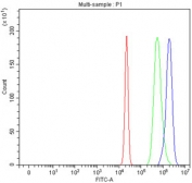 Flow cytometry testing of fixed and permeabilized human HepG2 cells with PCCA antibody at 1ug/million cells (blocked with goat sera); Red=cells alone, Green=isotype control, Blue= PCCA antibody.