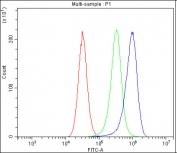 Flow cytometry testing of fixed and permeabilized human Caco-2 cells with Cyclooxygenase 2 antibody at 1ug/million cells (blocked with goat sera); Red=cells alone, Green=isotype control, Blue= Cyclooxygenase 2 antibody.
