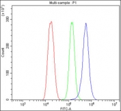 Flow cytometry testing of fixed and permeabilized mouse HEPA1-6 cells with Cyclooxygenase 2 antibody at 1ug/million cells (blocked with goat sera); Red=cells alone, Green=isotype control, Blue= Cyclooxygenase 2 antibody.