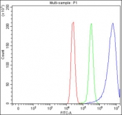 Flow cytometry testing of fixed and permeabilized human MCF7 cells with Peptide deformylase antibody at 1ug/million cells (blocked with goat sera); Red=cells alone, Green=isotype control, Blue= Peptide deformylase antibody.