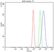 Flow cytometry testing of fixed human Caco-2 cells with SLC39A10 antibody at 1ug/million cells (blocked with goat sera); Red=cells alone, Green=isotype control, Blue= SLC39A10 antibody.