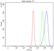Flow cytometry testing of fixed and permeabilized human MCF7 cells with HSD17B2 antibody at 1ug/million cells (blocked with goat sera); Red=cells alone, Green=isotype control, Blue= HSD17B2 antibody.