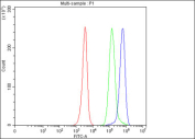 Flow cytometry testing of fixed and permeabilized human JK cells with SLC25A25 antibody at 1ug/million cells (blocked with goat sera); Red=cells alone, Green=isotype control, Blue= SLC25A25 antibody.