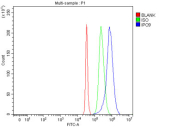 Flow cytometry testing of fixed and permeabilized human SH-SY5Y cells with IPO9 antibody at 1ug/million cells (blocked with goat sera); Red=cells alone, Green=isotype control, Blue= IPO9 antibody.