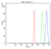 Flow cytometry testing of fixed and permeabilized human HepG2 cells with HSPA1L antibody at 1ug/million cells (blocked with goat sera); Red=cells alone, Green=isotype control, Blue= HSPA1L antibody.
