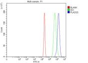 Flow cytometry testing of fixed and permeabilized human HepG2 cells with PLA2G3 antibody at 1ug/million cells (blocked with goat sera); Red=cells alone, Green=isotype control, Blue= PLA2G3 antibody.